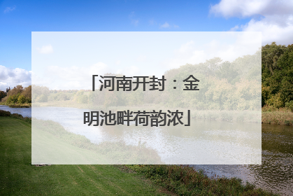 河南开封：金明池畔荷韵浓