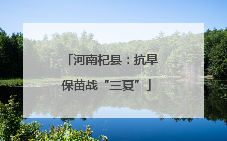 河南杞县：抗旱保苗战“三夏”