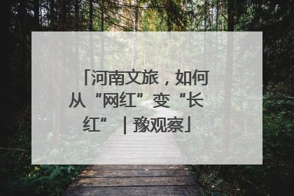 河南文旅，如何从“网红”变“长红”｜豫观察