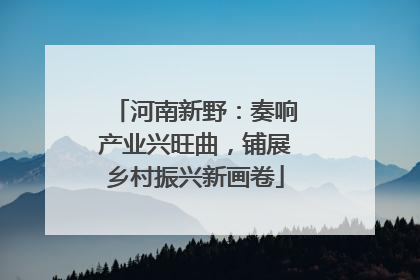 河南新野：奏响产业兴旺曲，铺展乡村振兴新画卷