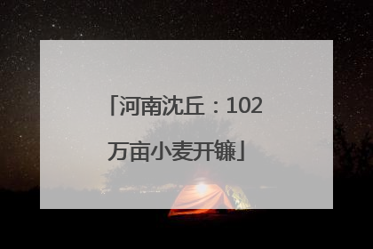 河南沈丘：102 万亩小麦开镰