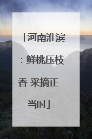 河南淮滨：鲜桃压枝香 采摘正当时