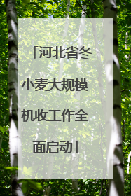 河北省冬小麦大规模机收工作全面启动