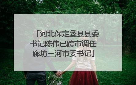 河北保定蠡县县委书记陈伟已跨市调任廊坊三河市委书记
