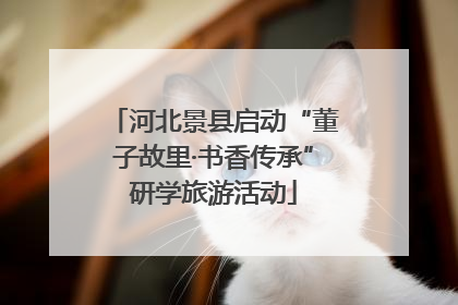 河北景县启动“董子故里·书香传承”研学旅游活动