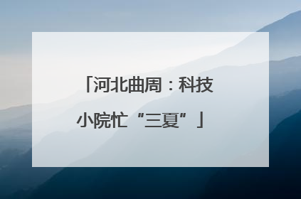 河北曲周：科技小院忙“三夏”