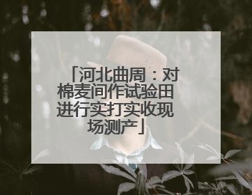 河北曲周：对棉麦间作试验田进行实打实收现场测产