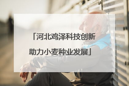河北鸡泽科技创新助力小麦种业发展