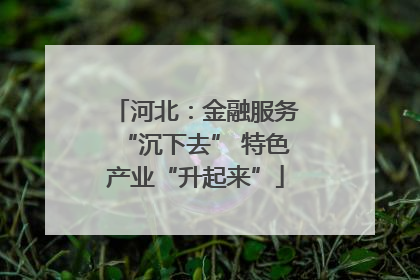 河北：金融服务“沉下去” 特色产业“升起来”