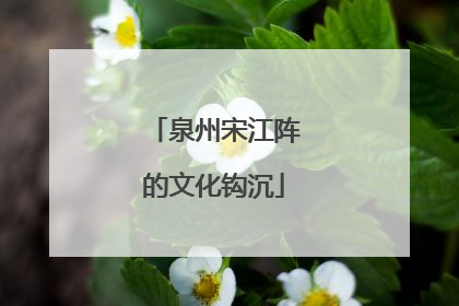 泉州宋江阵的文化钩沉