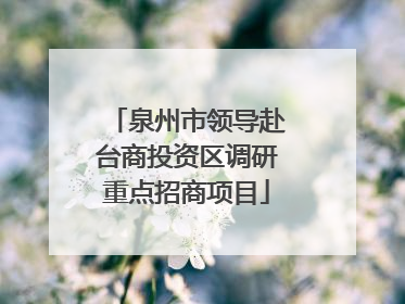 泉州市领导赴台商投资区调研重点招商项目