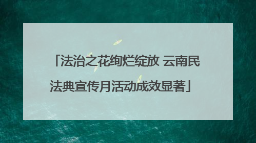 法治之花绚烂绽放 云南民法典宣传月活动成效显著