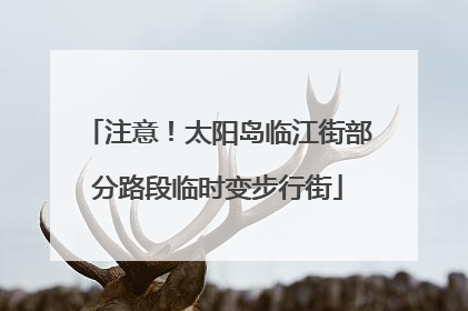 注意！太阳岛临江街部分路段临时变步行街