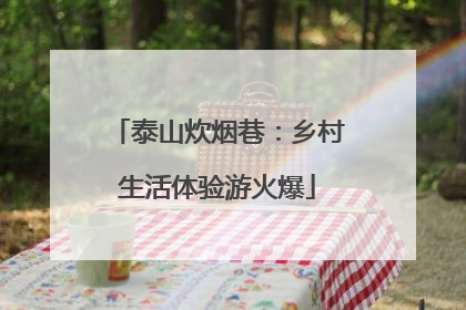 泰山炊烟巷：乡村生活体验游火爆
