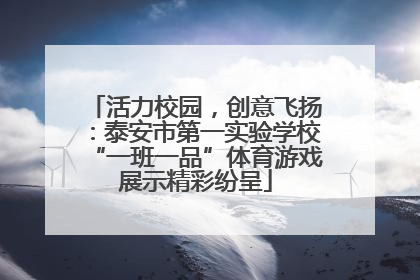 活力校园，创意飞扬：泰安市第一实验学校“一班一品”体育游戏展示精彩纷呈