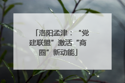 洛阳孟津：“党建联盟”激活“商圈”新动能