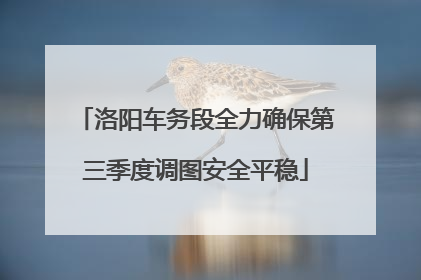 洛阳车务段全力确保第三季度调图安全平稳
