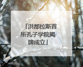 洪都拉斯首所孔子学院揭牌成立
