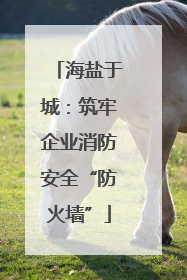 海盐于城：筑牢企业消防安全“防火墙”