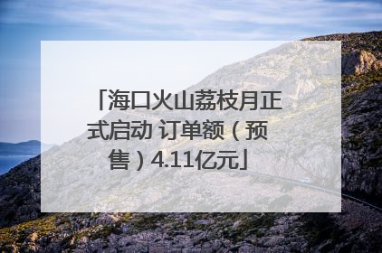 海口火山荔枝月正式启动 订单额（预售）4.11亿元