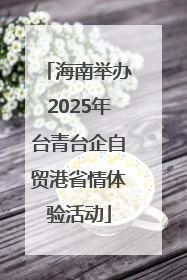 海南举办2025年台青台企自贸港省情体验活动