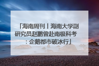 海南周刊丨海南大学副研究员赵鹏曾赴南极科考：企鹅都市破冰行