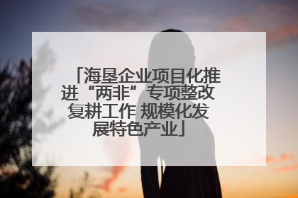 海垦企业项目化推进“两非”专项整改复耕工作 规模化发展特色产业