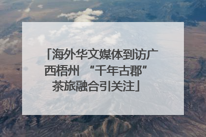 海外华文媒体到访广西梧州 “千年古郡”茶旅融合引关注