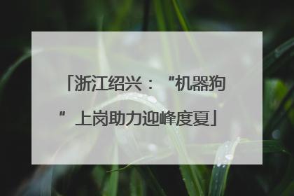 浙江绍兴：“机器狗”上岗助力迎峰度夏