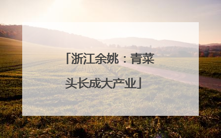 浙江余姚：青菜头长成大产业