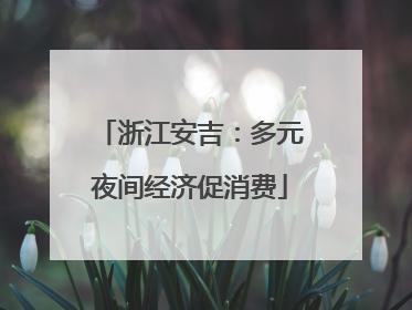 浙江安吉：多元夜间经济促消费