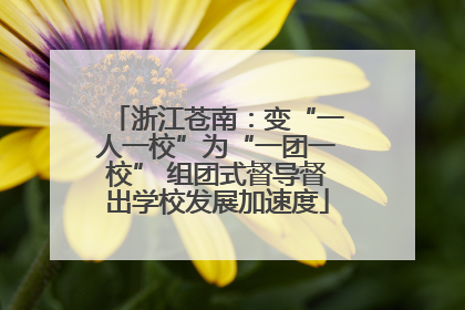 浙江苍南：变“一人一校”为“一团一校” 组团式督导督出学校发展加速度