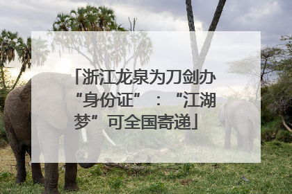 浙江龙泉为刀剑办“身份证”：“江湖梦”可全国寄递