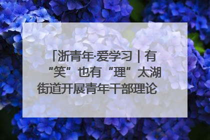 浙青年·爱学习｜有“笑”也有“理”太湖街道开展青年干部理论宣讲“开放麦”