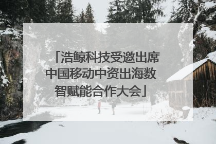 浩鲸科技受邀出席中国移动中资出海数智赋能合作大会