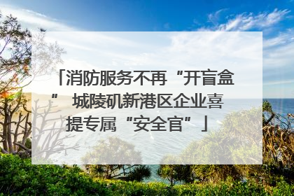 消防服务不再“开盲盒” 城陵矶新港区企业喜提专属“安全官”