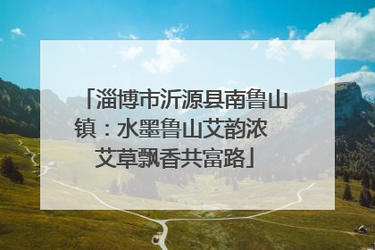 淄博市沂源县南鲁山镇：水墨鲁山艾韵浓 艾草飘香共富路