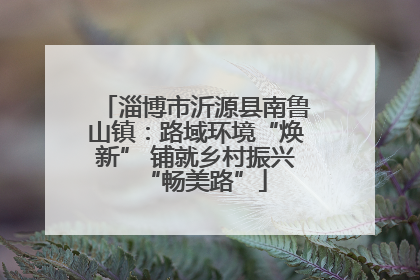 淄博市沂源县南鲁山镇：路域环境“焕新” 铺就乡村振兴“畅美路”