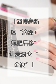 淄博高新区“滴灌+氮肥后移”让麦浪变“金浪”