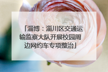 淄博：淄川区交通运输监察大队开展校园周边网约车专项整治
