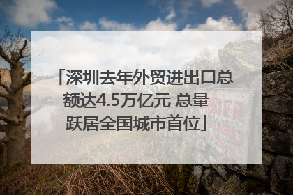 深圳去年外贸进出口总额达4.5万亿元 总量跃居全国城市首位