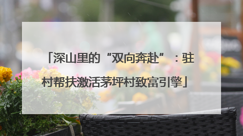 深山里的“双向奔赴”：驻村帮扶激活茅坪村致富引擎