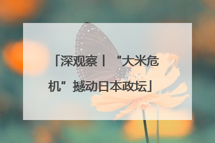 深观察丨“大米危机”撼动日本政坛