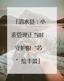 清水县：小麦管理正当时 守护粮“芯”绘丰景
