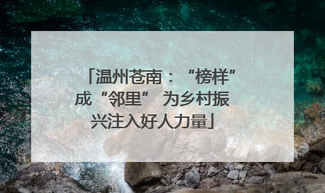 温州苍南：“榜样”成“邻里” 为乡村振兴注入好人力量