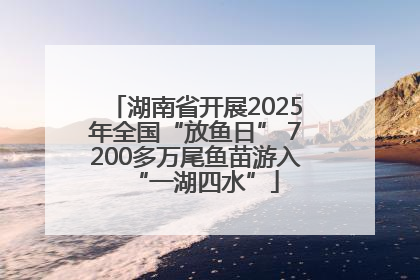 湖南省开展2025年全国“放鱼日” 7200多万尾鱼苗游入“一湖四水”