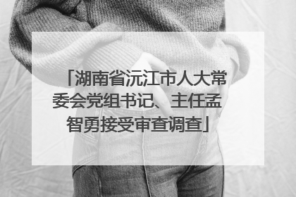 湖南省沅江市人大常委会党组书记、主任孟智勇接受审查调查