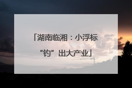 湖南临湘：小浮标“钓”出大产业