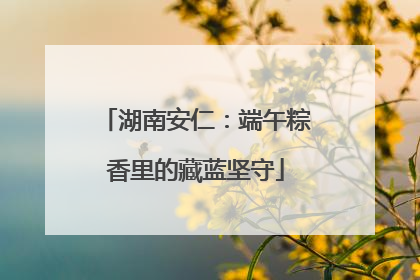 湖南安仁：端午粽香里的藏蓝坚守