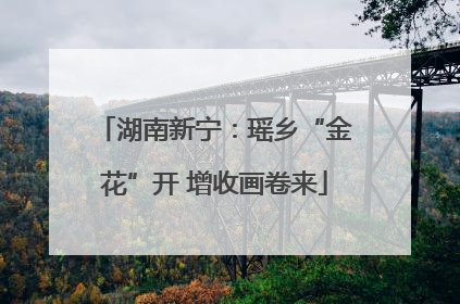 湖南新宁：瑶乡“金花”开 增收画卷来